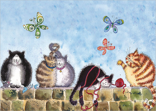 Cats on a Wall Card